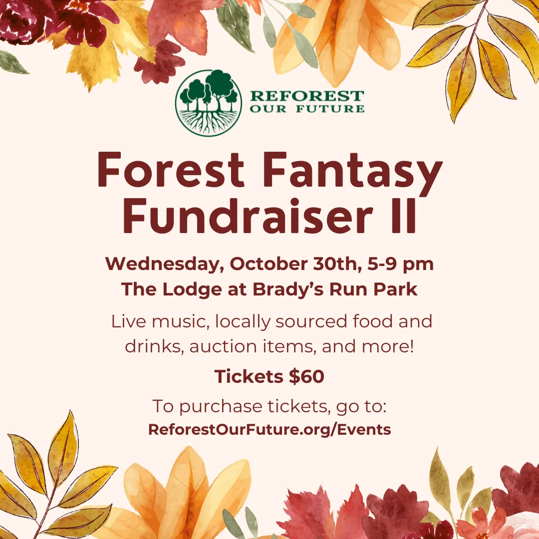 Forest Fantasy Fundraiser