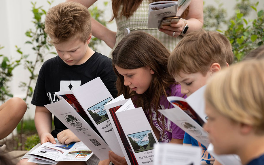 Students reading Forest Tales