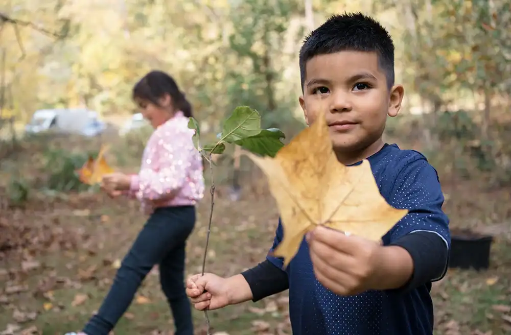 Boy holding leaf